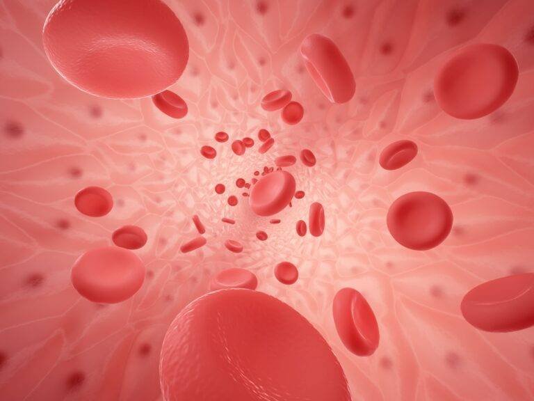Hematology / Blood Diseases